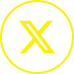 X icon