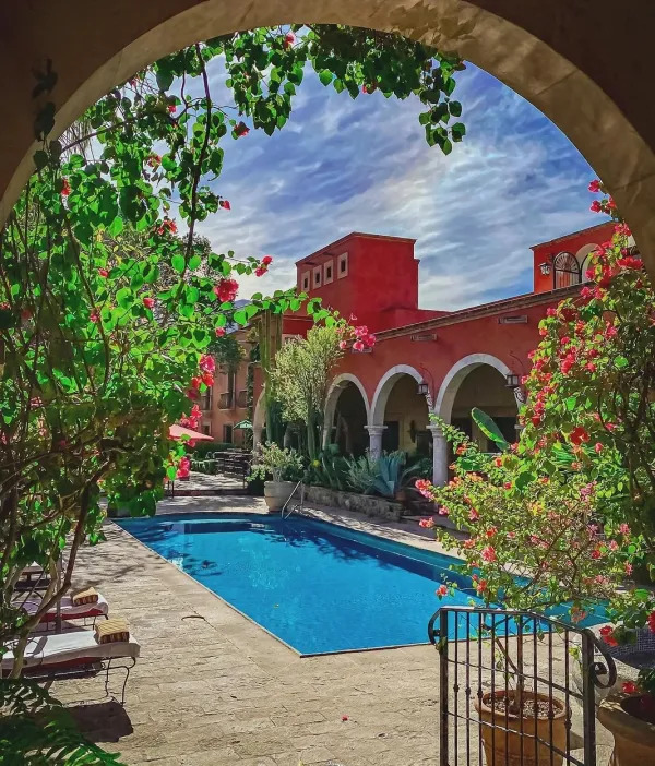 img hotel