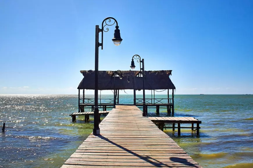 isla-aguada-alamo-rent-a-car-empresas-arrendamiento-autos-negocios-mexico