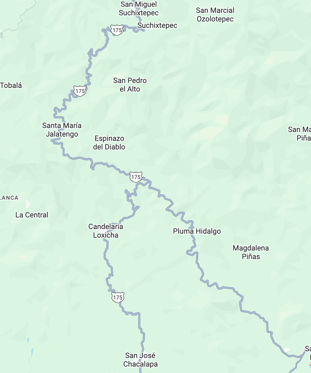 renta-auto-mes-alamo-carretera-curvas