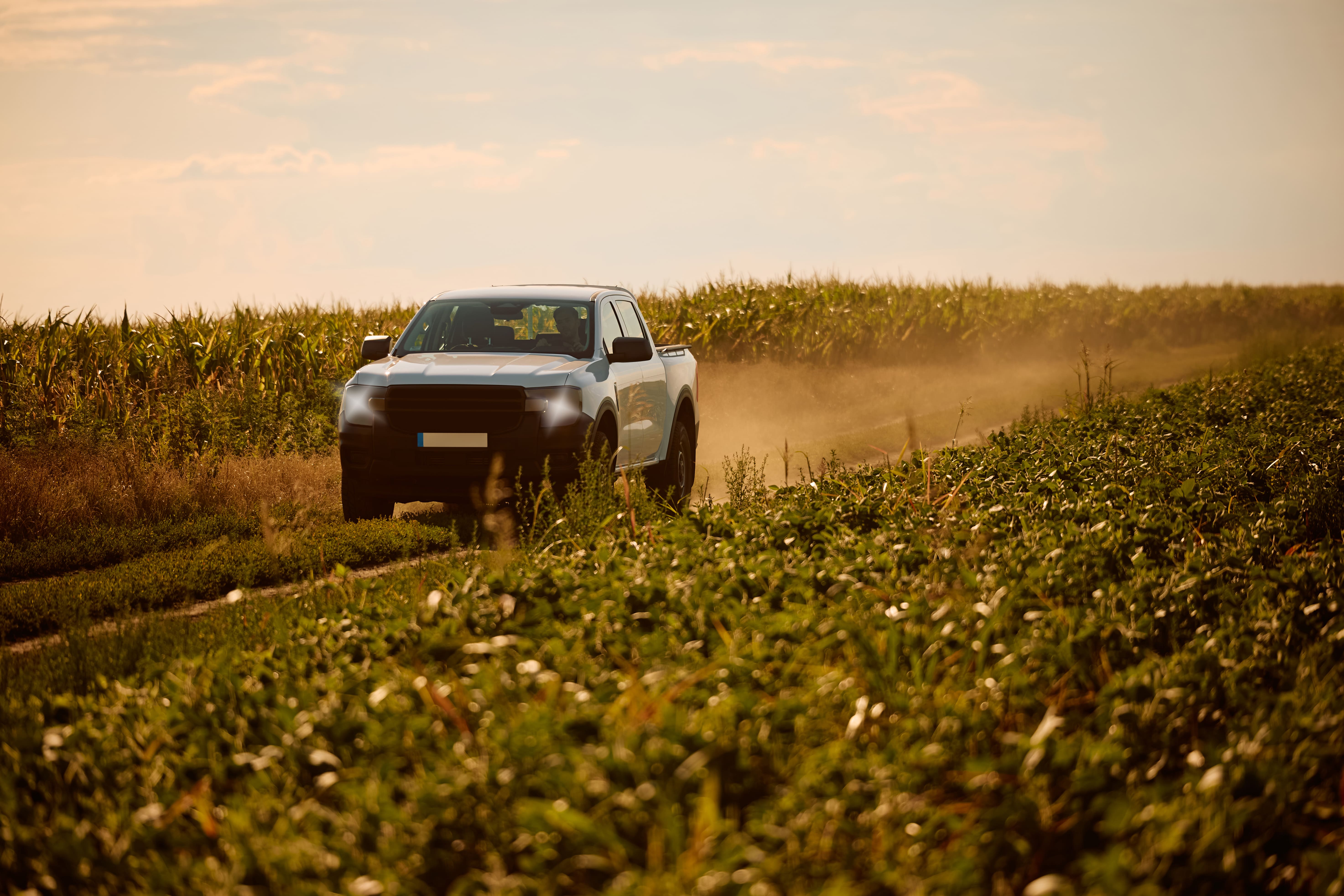 renta de autos por mes