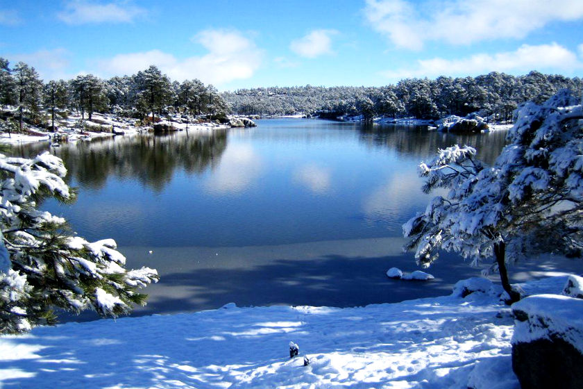 2033b317cee2310fb74e32d3e2cada36-1